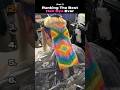 Ranking The Best Hair Dye Ever (Part 7) #hair #usa #shorts