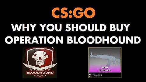 Why you should buy Operation Bloodhound (CS:GO)