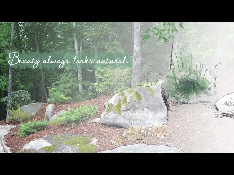 वीडियो: लैंडस्केप डिज़ाइन में कोनिफ़र