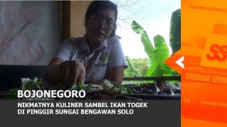 Bojonegoro - Nikmatnya Kuliner Sambel Ikan Togek Di Pinggir Sungai Bengawan Solo