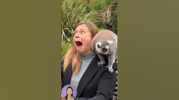 ranking fails part-13 #funny #fails #memes