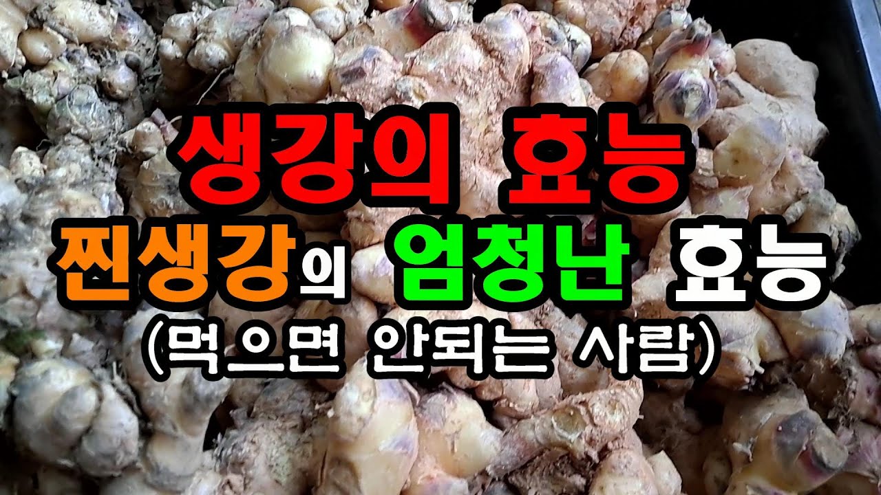 생강 이렇게 하면 10배이상 뽑아먹는 중성 지방 내장 지방 싹 사라진다 생강 효능👍 - YouTube