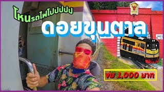 โหนรถไฟไปขุนตาล 3 วัน 2 คืน งบ 1,000 บาท (มีสรุปค่าใช้จ่าย) (ตะลุยเหนือ EP.1)