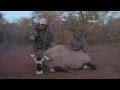 An Ambush Hunt For A Giant Gemsbok Bull