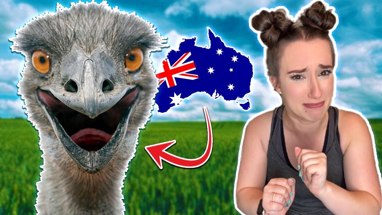 The Great Emu War