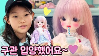 구관을 입양했어요~💛 라임의 어린이날 선물 구체관절인형 세라 LimeTube