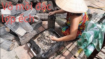 TẬP 11-VÔ MỒI LỢP ẾCH -VÀ CÁCH ĐẶC LỢP ẾCH CỬA DÂN MIỀN TÂY MÙA NƯỚC NÔI