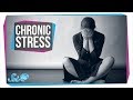 How Chronic Stress Harms Your Body
