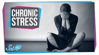 How Chronic Stress Harms Your Body Resimi