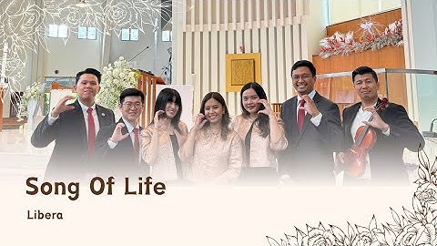 Carmen Divina - Song Of Life (Libera) cover with violin