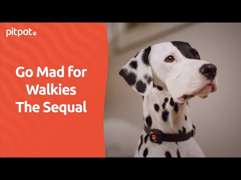 Go Mad For Walkies TV Advert (The Sequel - Christmas) - PitPat Dog Activity Monitor - #madforwalkies