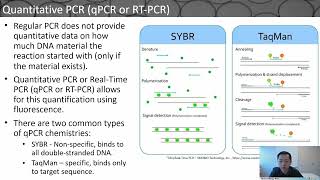 Droplet Microfluidics in PCR: Technology and Applications