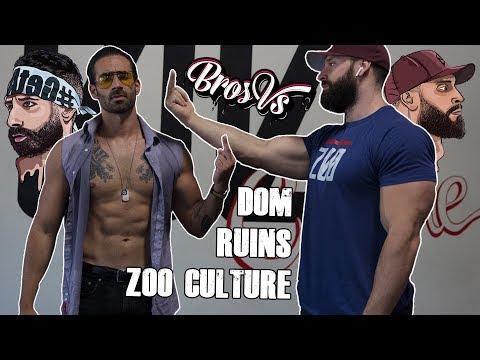 Dom Mazzetti RUINS Bradley Martyn's Gym | Bros Vs. (Part 2)