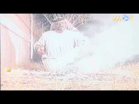 يانار شبي وطفي فترة التسعينات