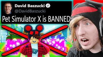 WHY Roblox Deleted Pet Simulator X