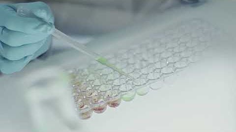 3195394 uhd 3840 2160 25fps