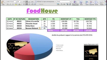 MICROSOFT EXCEL - INSERER UNE IMAGE DANS UN GRAPHIQUE