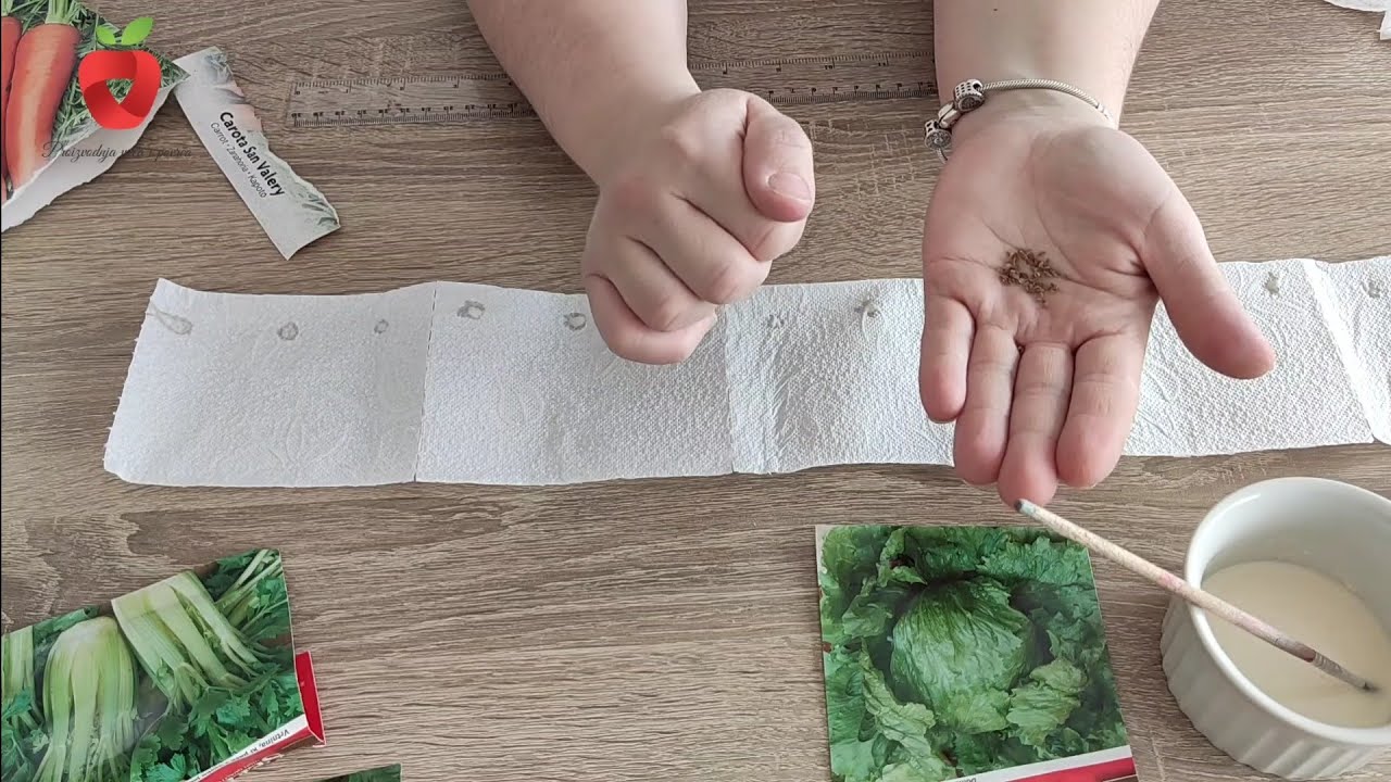 Лучший способ сеять овощи – полоски бумаги для правильного расстояния.