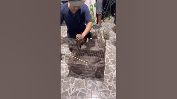 ￼ hôm nay trúng lớn - Ngọc vũ vlog #food #sanbat