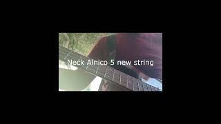 Bass Pickups Homage vs Alnico 5 (from ali)