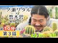 【10分フル】珍奇植物ドラマ『変態植物倶楽部』第3話【植物偏愛男:一ノ瀬ワタル】【しゃべる植物5役:悠木碧】