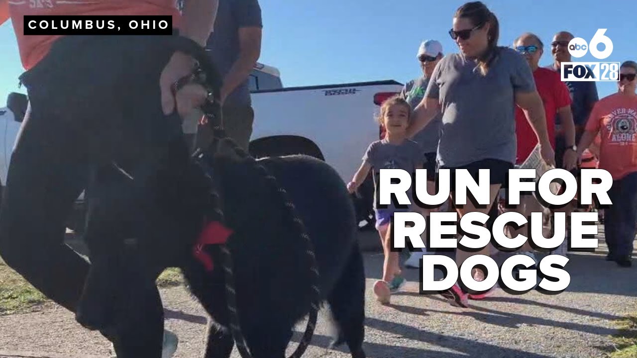 Dog lovers unite: “Never Walk Alone 5K-9” raises hope for special-needs dogs in Ohio