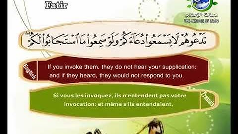 سورة فاطر بصوت سعد الغامدي Surat Fatir by Saad Al Ghamdy