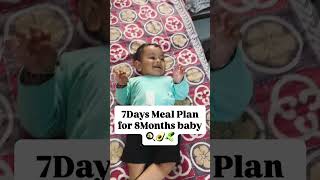 8Months baby meal plan