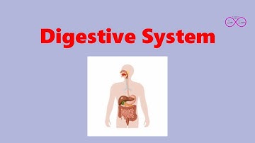 Connect4 - Unit1 - Lesson2 شرح منهج كونكت للصف الرابع الابتدائى - الوحدة الاولى - الدرس التاني