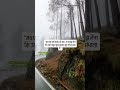 स्त्री की कठोरता उसका स्वभाव नहीं, वक्त का दिया हुआ एक खूबसूरत हुनर है। #LifeTruth #InnerStrength 🤍