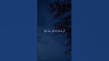 سورة الزمر-القارئ صالح الأنصاري