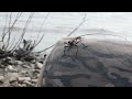 Загадка Амурских столбов. Гора Шаман. Мегалиты Дальнего Востока.
