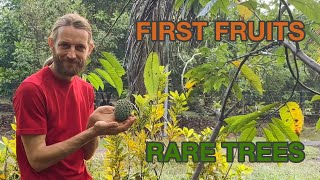 Farm Tour After First Rain + Our Rarest Tropical Fruit Tree in our Food Forest