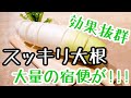 【宿便がどっさり！】驚くべきすっきり大根の効果とは？【回復食１日目】