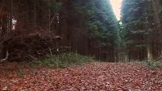 Video thumbnail of "Autumn Chopin"