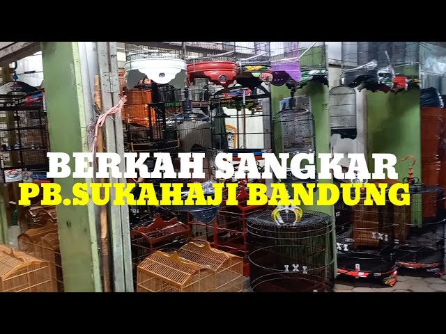 UPDATE HARGA SANGKAR TERBARU DI KIOSNYA BERKAH SANGKAR PB.SUKAHAJI BANDUNG class=