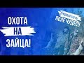 Охота на зайца!Трудовая охота и поле чудес!