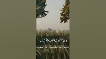 القارئ عمر ضياء الدين سورة يس #quran #المصحف #اكسبلور #explore #butiful #حالات_واتس #صوت_جميل