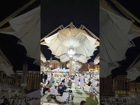 Видео: Madina Shareef Me Raat Ka Nazara #shorts #madina #khanyoutuber