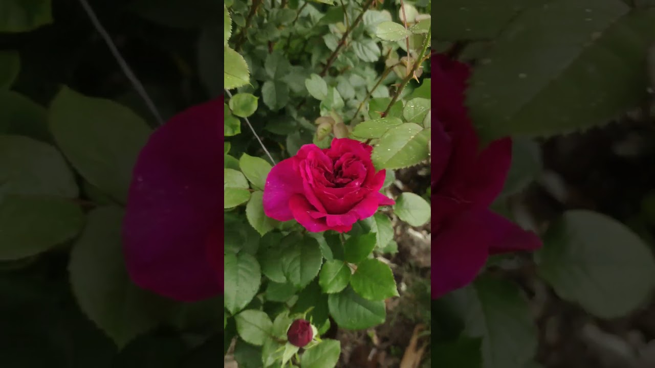 За 5 минут до урагана и грозы 