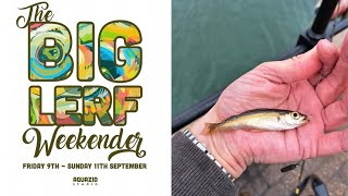 LRF Fishing In Weymouth | BIG LERF WEEKENDER