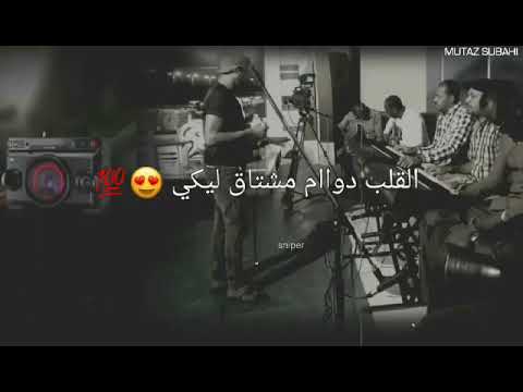 معتز صباحي شايل الافراح