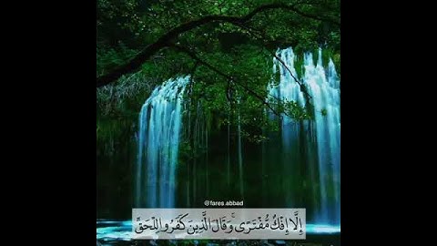 وإذا تتلى عليهم آياتنا بينات القارئ فارس عباد