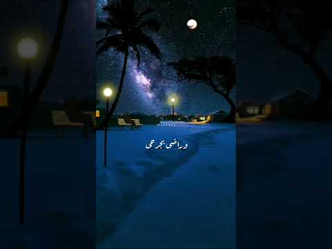 بجامل ناس جديد فضل شاكر حالات واتس