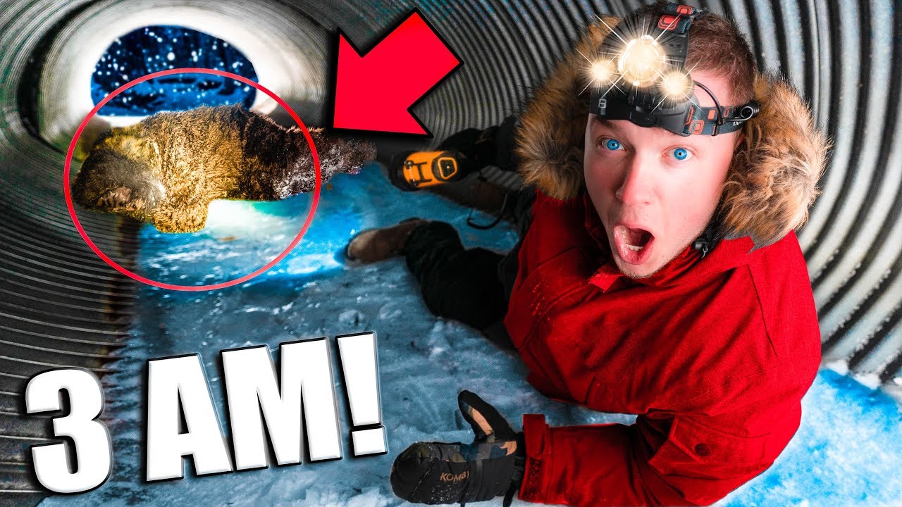box for truck BABY BIGFOOT Found at 3AM Exploring ABANDONED Tunnel!! (Sasquatch)