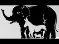 Guessing Number of Animals in Image