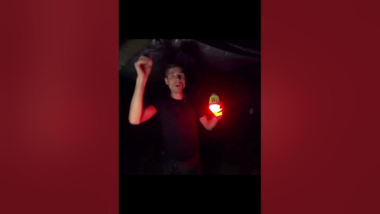 #3 Виживання у дикій природі з надійним товаришем! - YouTube