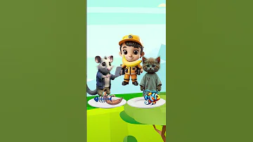 Choose A Poor Mouse Or A Good Cat 