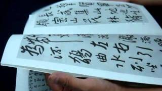 100717陳民芳老師指導書9.MPG