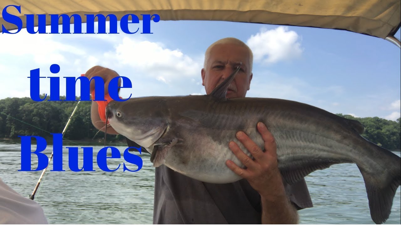 Catfishing Lake Wylie NC in HOT HOT weather YouTube